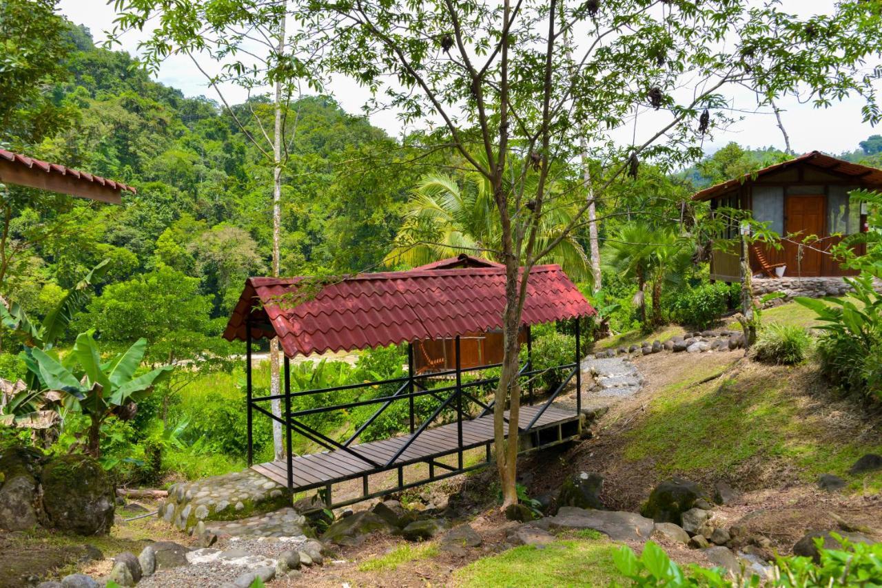 Pacuare River Lodge Bajo Tigre Exterior foto