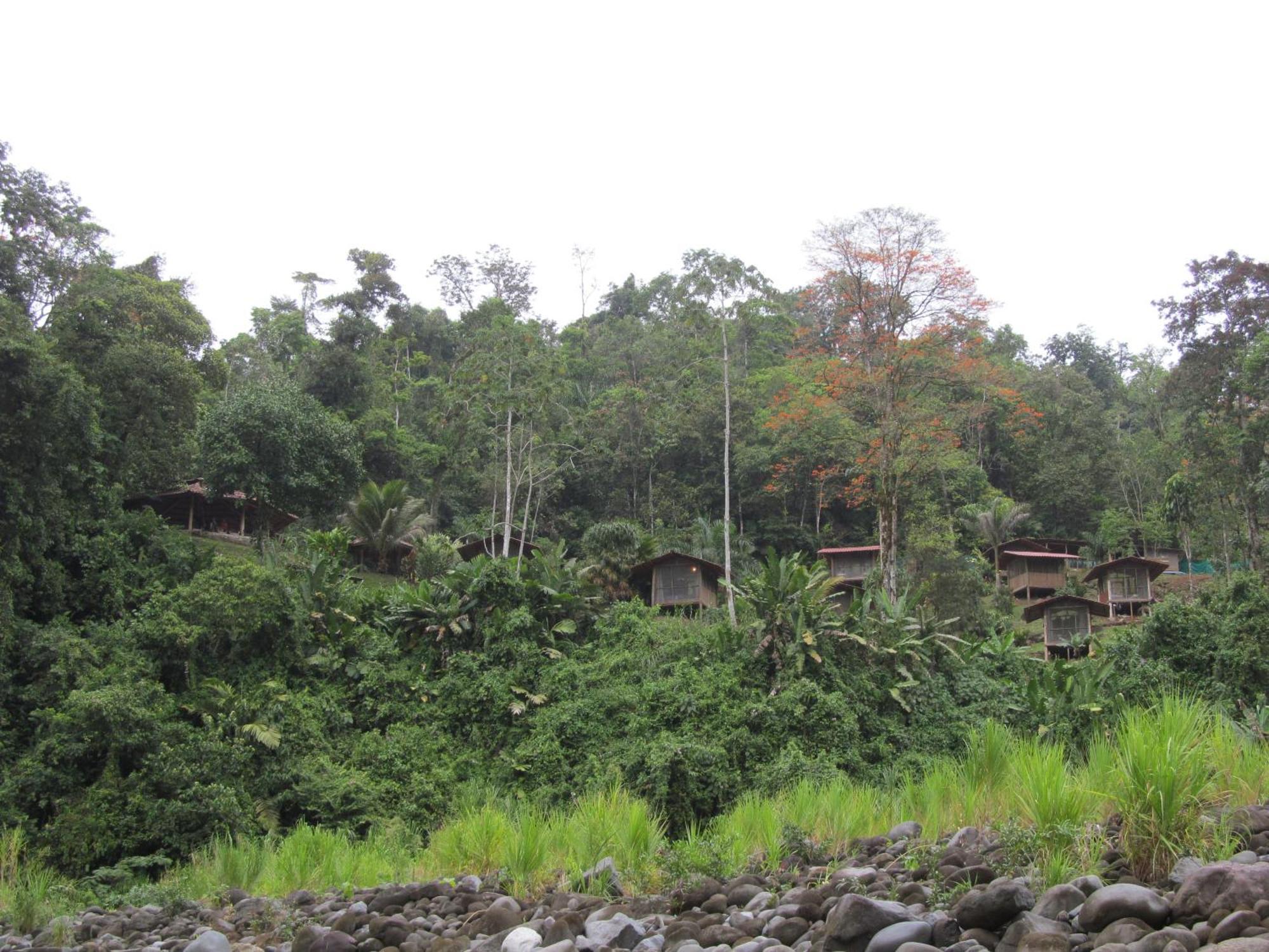 Pacuare River Lodge Bajo Tigre Exterior foto