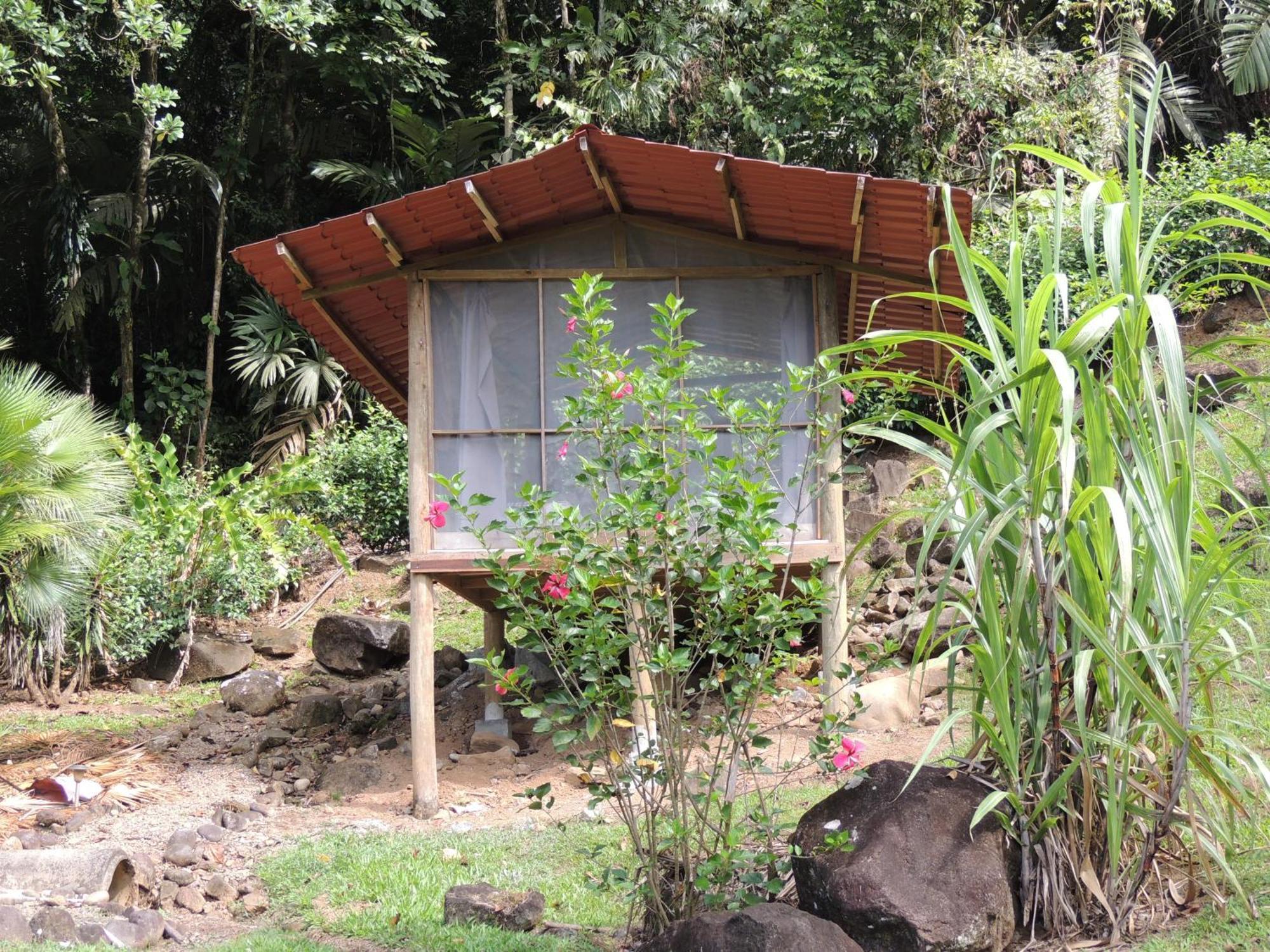 Pacuare River Lodge Bajo Tigre Exterior foto