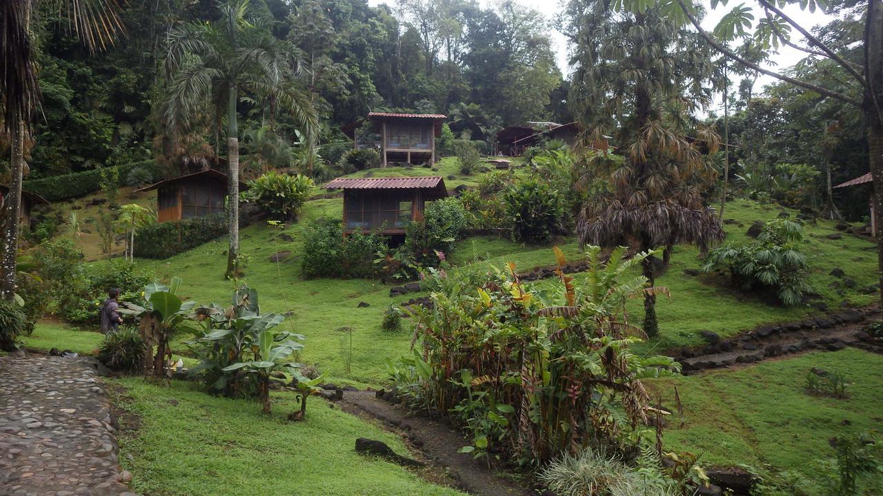 Pacuare River Lodge Bajo Tigre Exterior foto