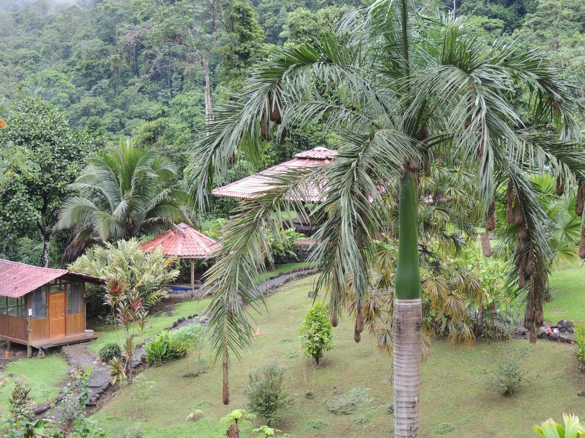 Pacuare River Lodge Bajo Tigre Exterior foto