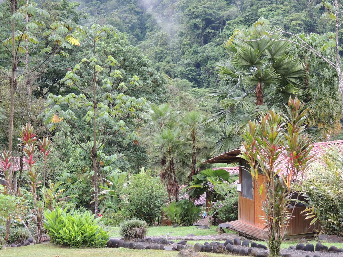 Pacuare River Lodge Bajo Tigre Exterior foto