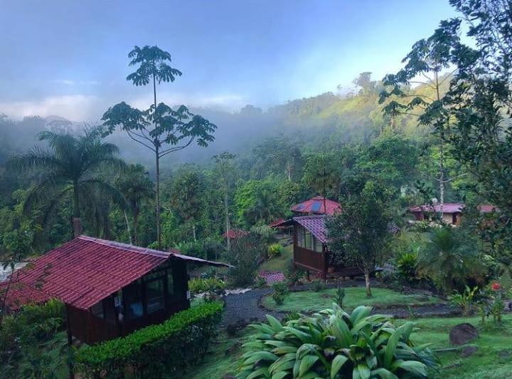 Pacuare River Lodge Bajo Tigre Exterior foto